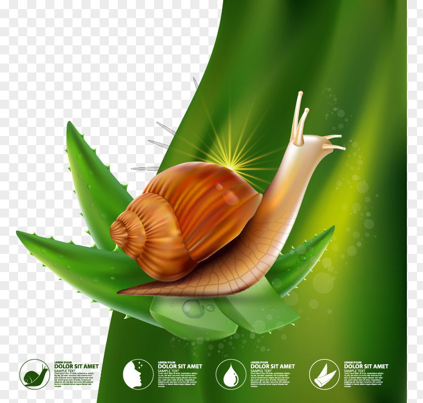 Vector Green Background Aloe Moisturizing Cream Snail Illustration PNG