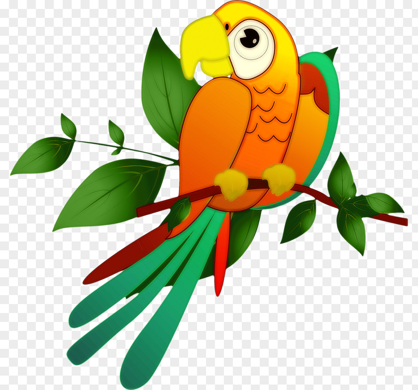 Bird Macaw In The Tree Parakeet Clip Art PNG