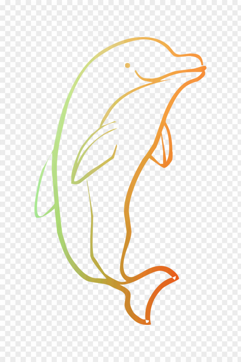 Clip Art Dolphin Coloring Book Illustration Image PNG