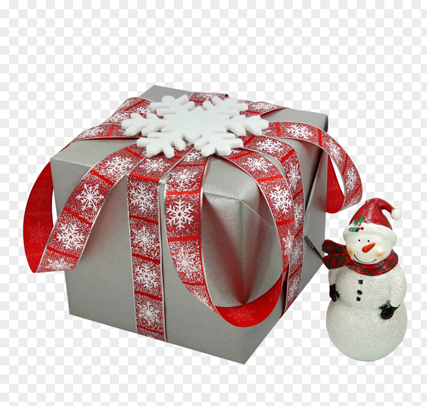 Gift Estudante Christmas Studia Wyu017csze Birthday PNG