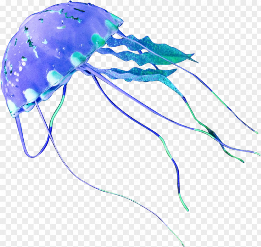 Jellyfish Marine Invertebrates Graphic Design PNG