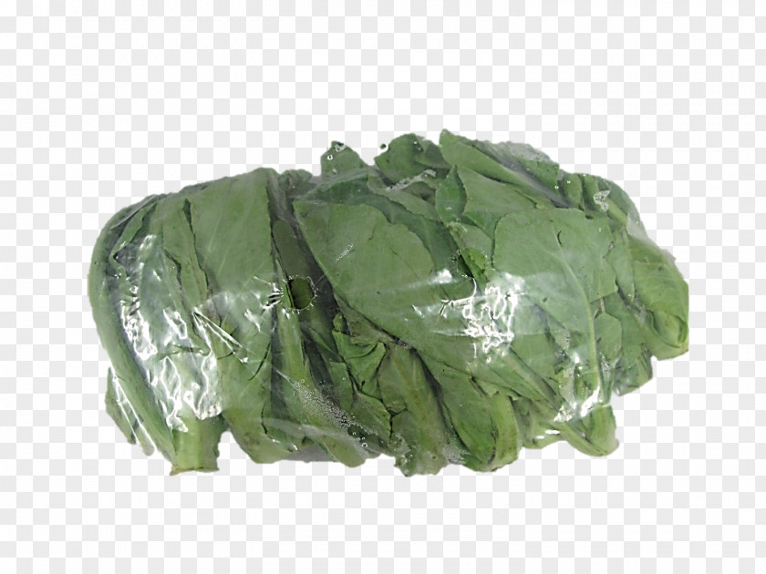 Kale Chinese Broccoli Phat Si-io Cuisine Spring Greens Collard PNG