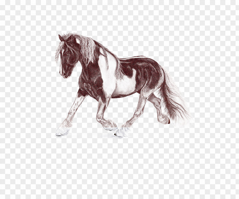 Mustang Horse Sorrel Mane Animal Figure Stallion Shetland Pony PNG