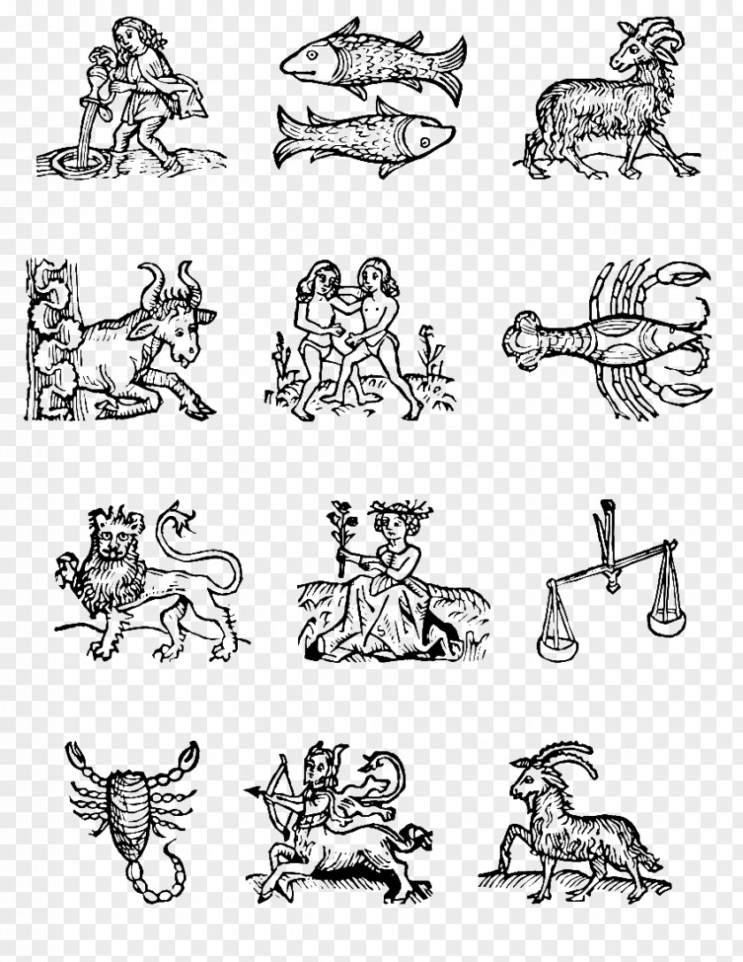 Zodiac Signs Astrological Sign Aquarius Symbol PNG
