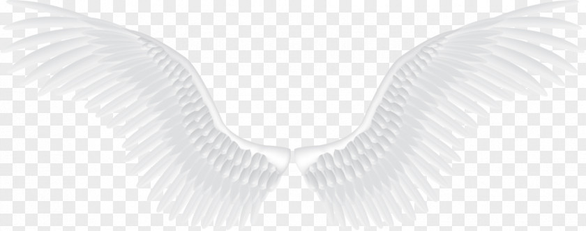 Angel Wings Stencil Image Desktop Wallpaper Clip Art Transparency PNG