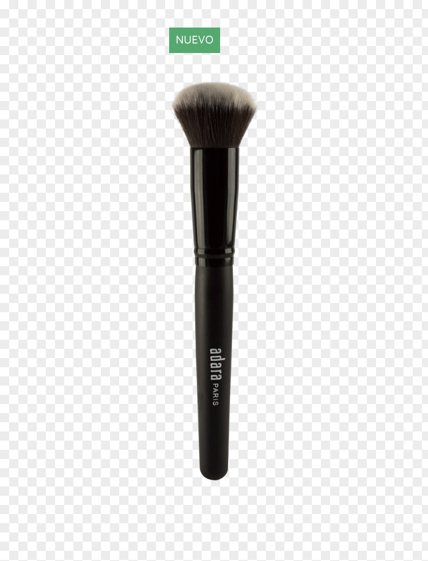 Brocha Paintbrush Shave Brush Sigma Beauty Eye Shadow PNG