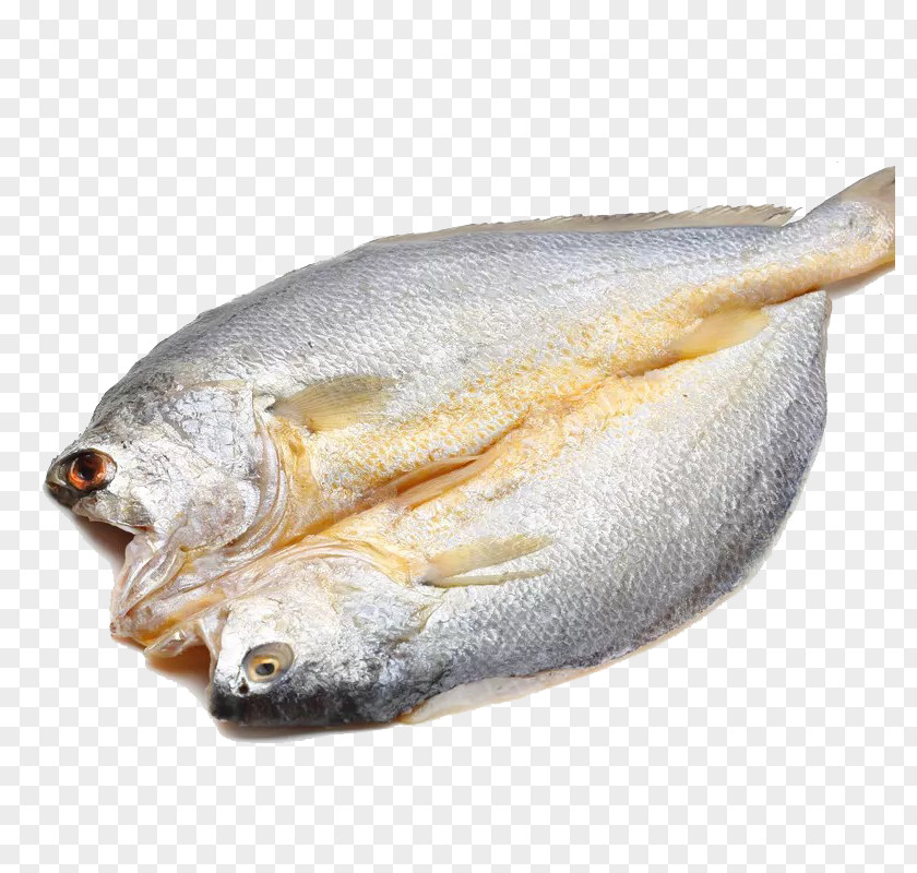 Frozen Tilapia Seafood Food Fish As PNG