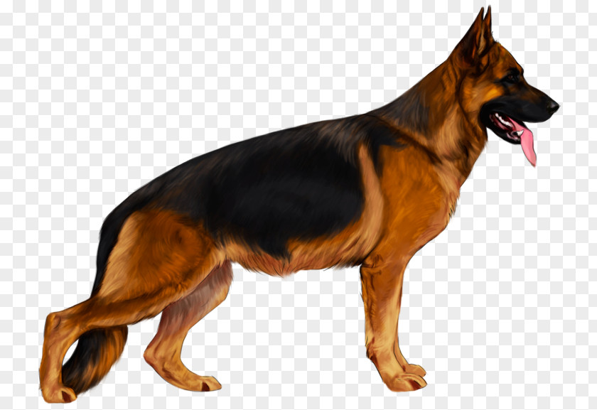 German Old Shepherd Dog Black And Tan Coonhound King English Toy Terrier PNG