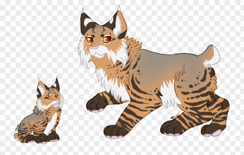 Kitten Whiskers Wildcat Fur PNG