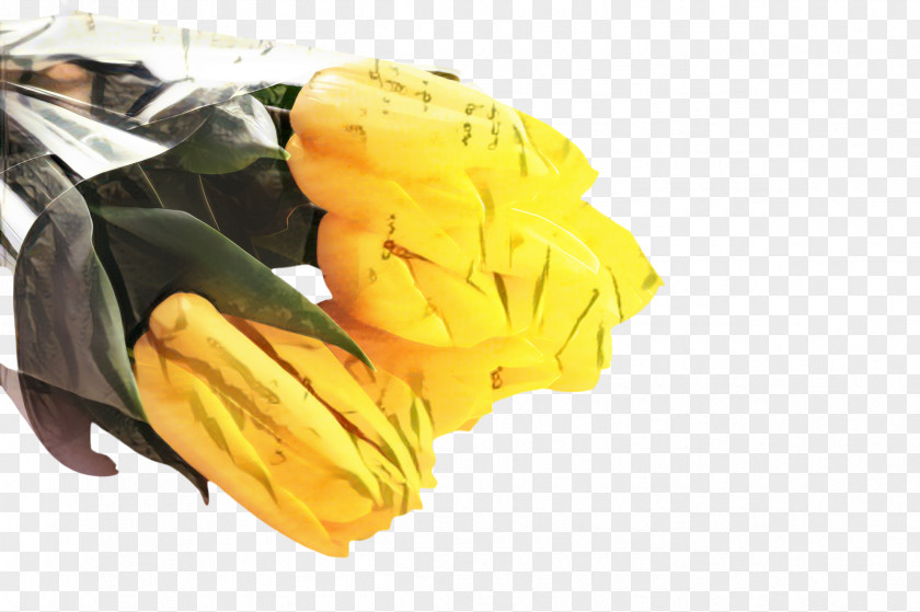 Personal Protective Equipment Glove Blossom Flower PNG