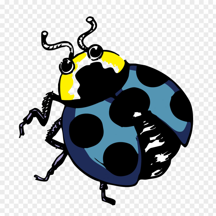 Vector Cartoon Painted Beetle Insect Ladybird Illustration PNG