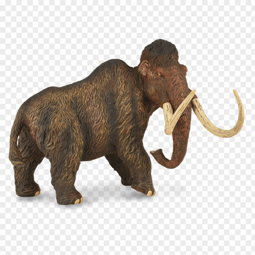 Deluxe 1:20 CollectA Woolly Mammoth Toy Dinosaur Steppe MammothDinosaur Collecta Mammoths PNG