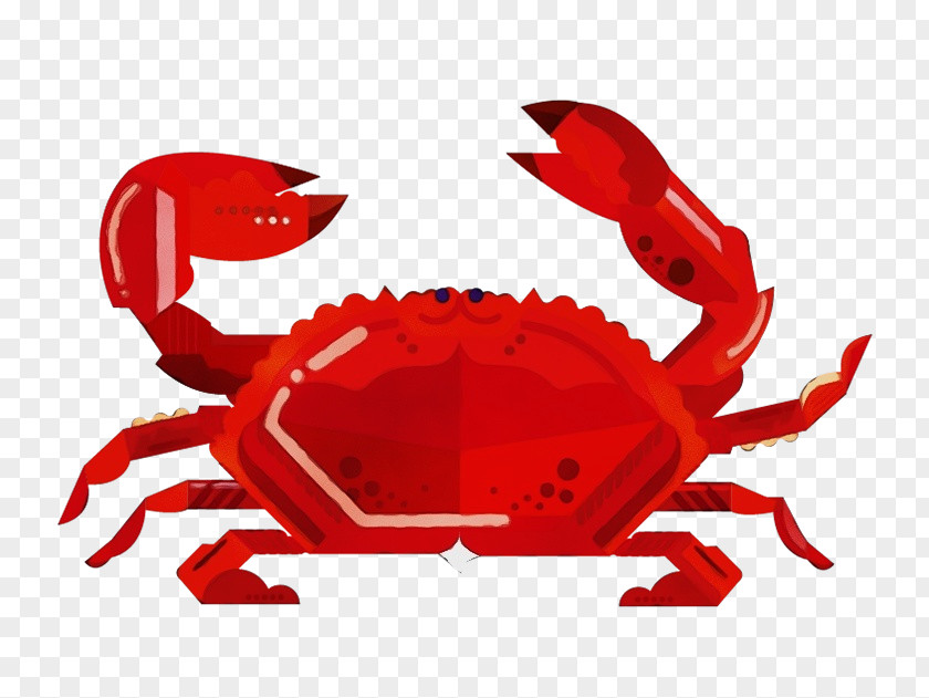 Dungeness Crab Freshwater Crayfish Fresh Character PNG