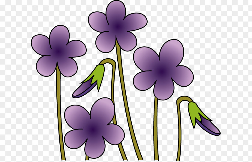 Flower Viola Mandshurica Royalty-free Clip Art PNG