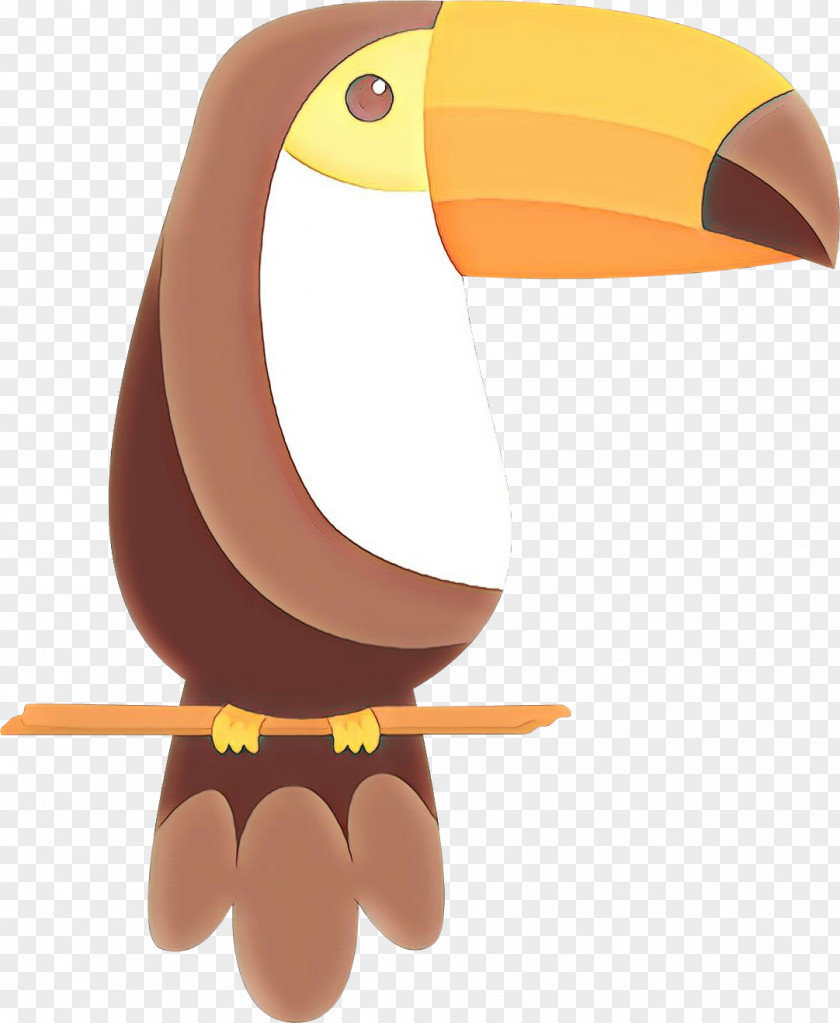 Hornbill Animal Figure Bird PNG
