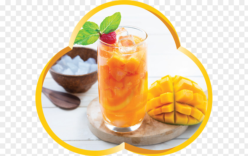 Iced Tea Orange Drink Long Island Harvey Wallbanger Cocktail Garnish PNG