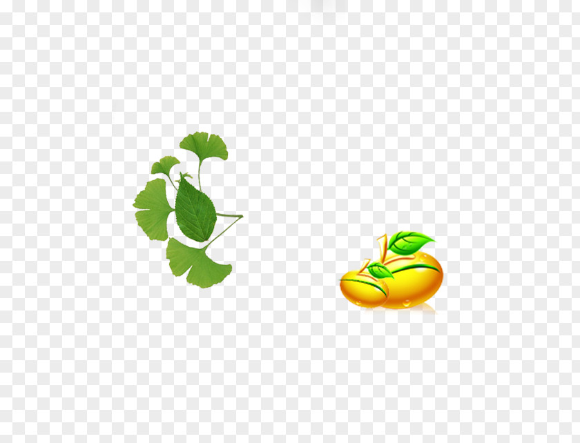 Leaves Leaf Icon PNG