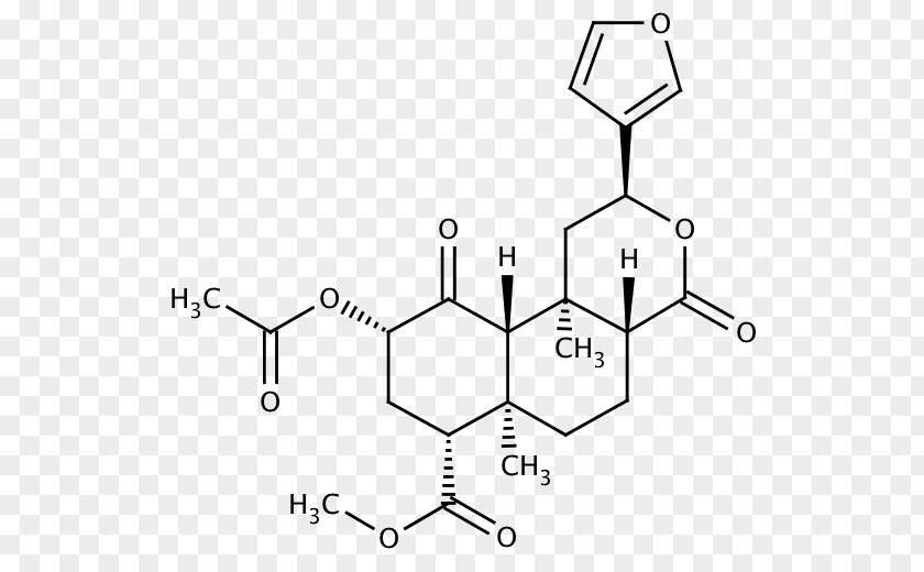 Sage Of The Diviners Impurity Research Science Common PNG