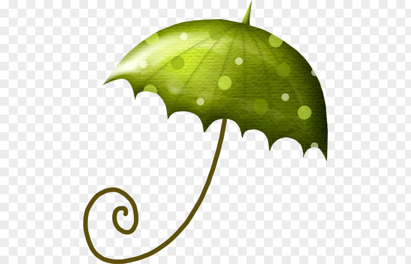 Umbrella Clip Art PNG