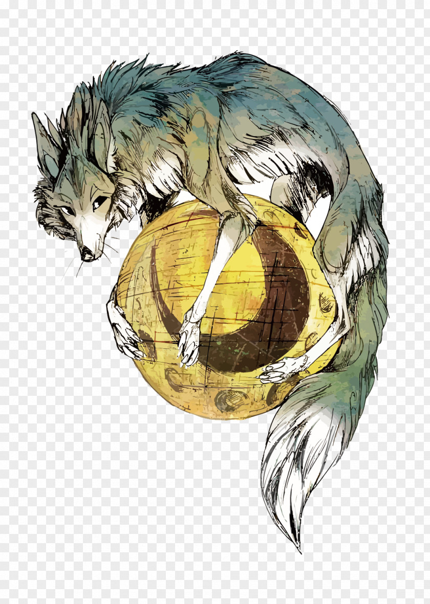 Vector Wolf And Month Gray Whiskers Illustration PNG