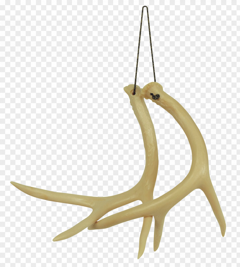 Antler Light Fixture PNG