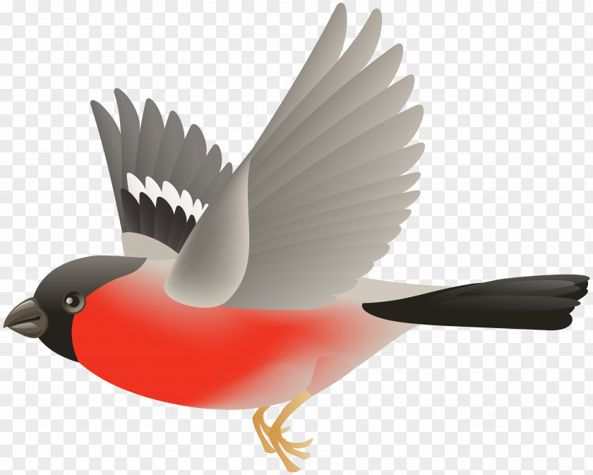 Bird Flight Clip Art PNG