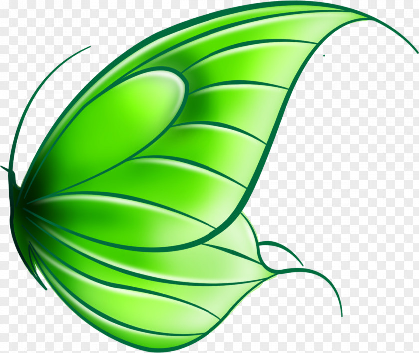 Butterfly Drawing Art Clip PNG