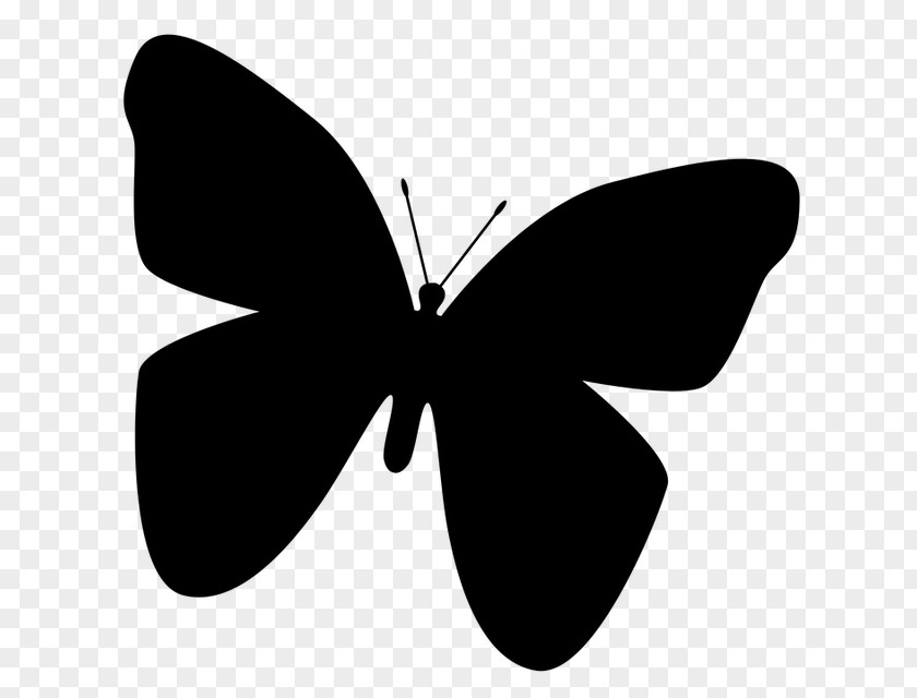 Butterfly Insect Silhouette Clip Art PNG