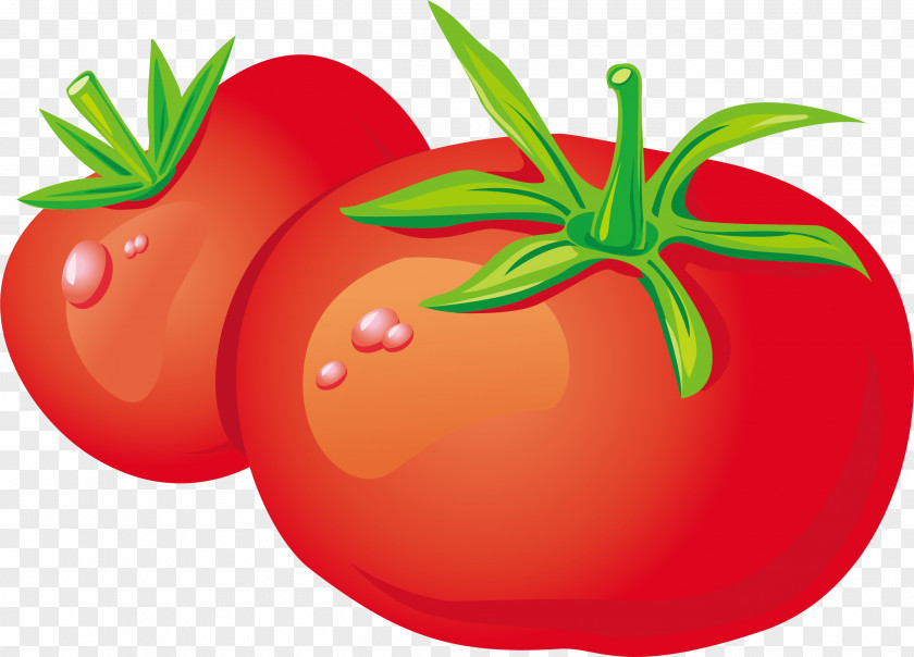 Cartoon Tomato Vegetable Zakuski Fruit PNG