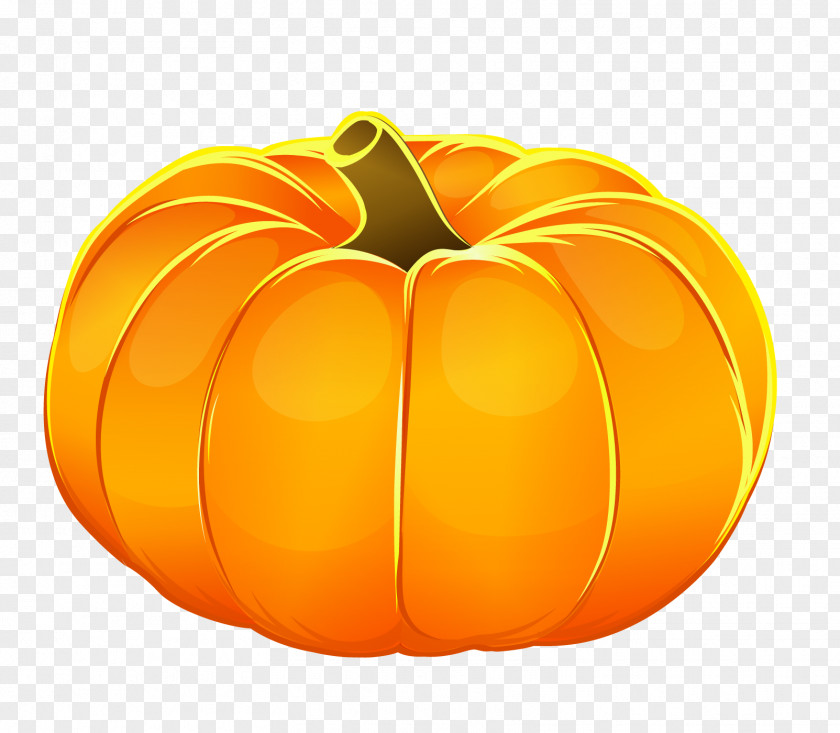Decorative Squashes Jack-o'-lantern Halloween Pumpkin Pie Cartoon PNG