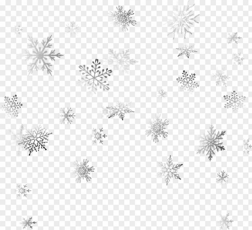 Gray Shining Snowflakes Snowflake Schema Tattoo Grey PNG