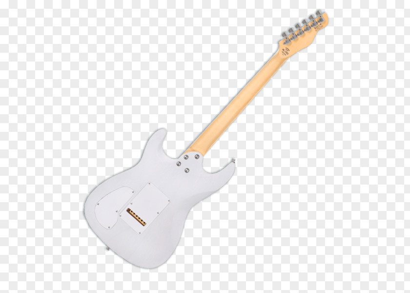 Guitar Pro Electric Chapman ML-1 Bass Columbidae PNG