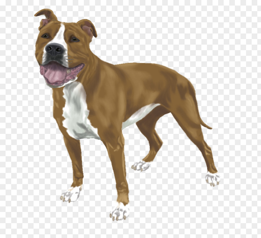 Mars Baton American Staffordshire Terrier Pit Bull Dog Breed PNG