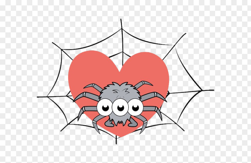 Meng Spider The And Fly Clip Art PNG