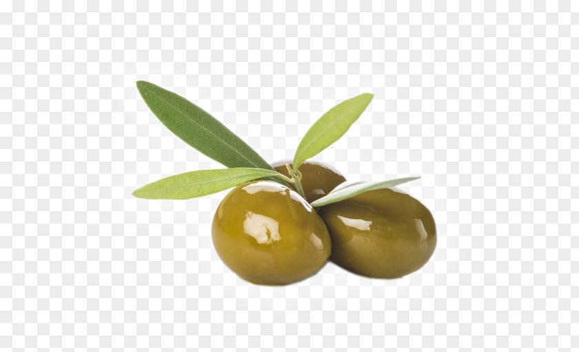 Olive Branch Oil Salad Shutterstock PNG