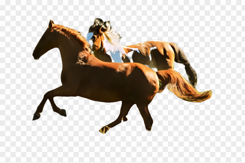 Rein Sorrel Horse Mustang Stallion Animal Sports Figure PNG