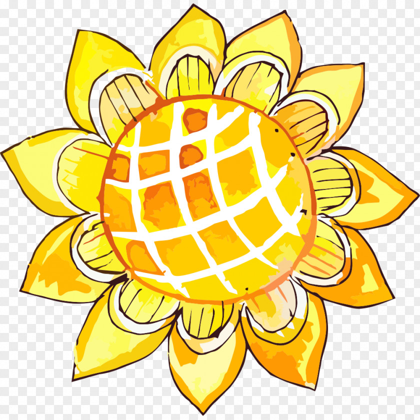 Yellow Sunflower Common Clip Art PNG