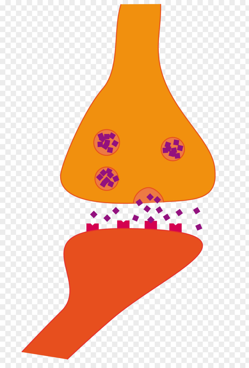 Brain Chemicals Neurotransmitters Clip Art Neurotransmitter Release Synapse PNG