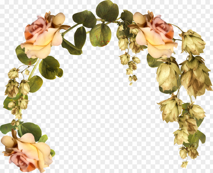 Dry Leaves Cut Flowers Floral Design Blume PNG