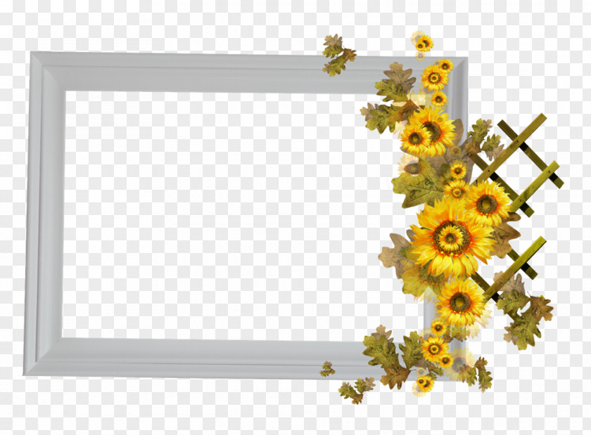 Floral Border Creative Background Material Ps Picture Frame Flower PNG