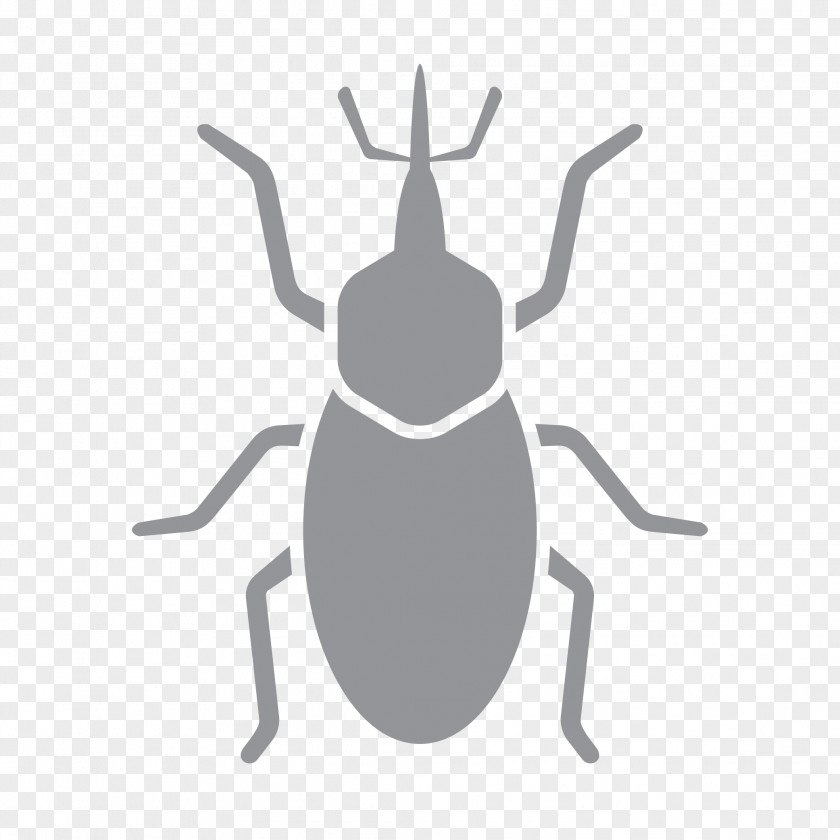 Pest Control Insect Bed Bug Hornet PNG