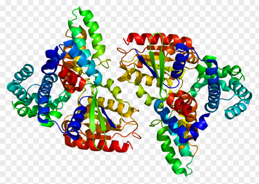 RGS16 Regulator Of G Protein Signaling GNAI2 PNG