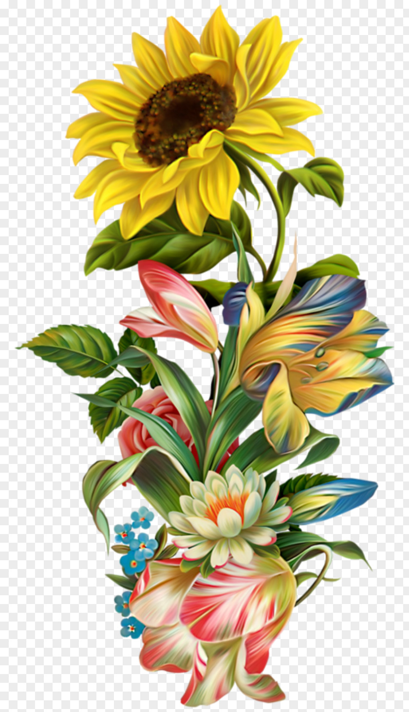 Sunflower Flower Clip Art PNG