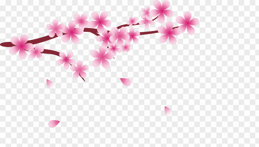 Cherry Blossoms National Blossom Festival Cerasus PNG