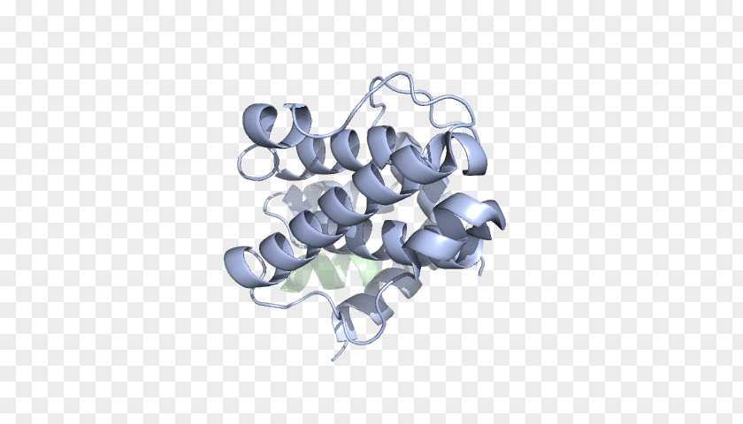 Cytoskeleton Motor Proteins Product Design Font Angle PNG
