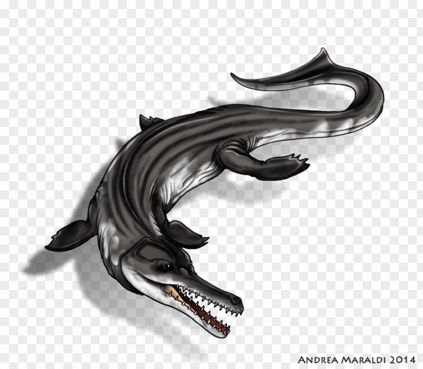 Dinosaur Metriorhynchus Crocodiles Ichthyosaur PNG