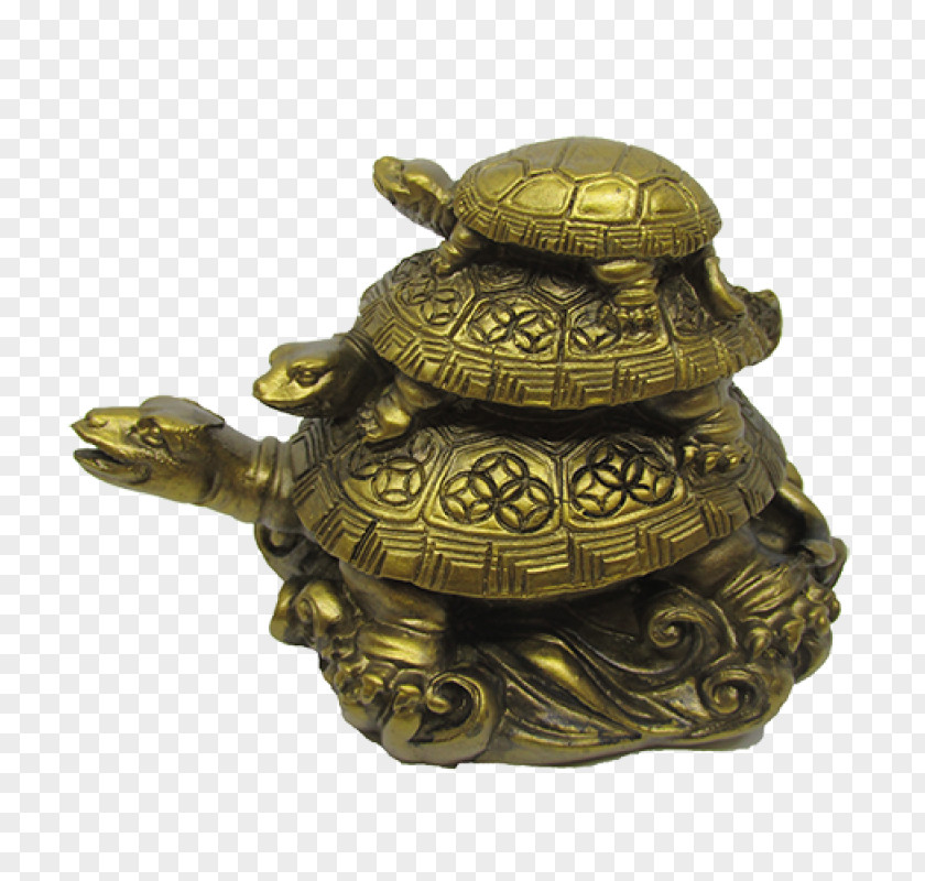 Longevity Box Turtle Tortoise Feng Shui Reptile PNG