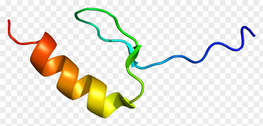 MYST3 Senescence Gene Histone Acetyltransferase PNG