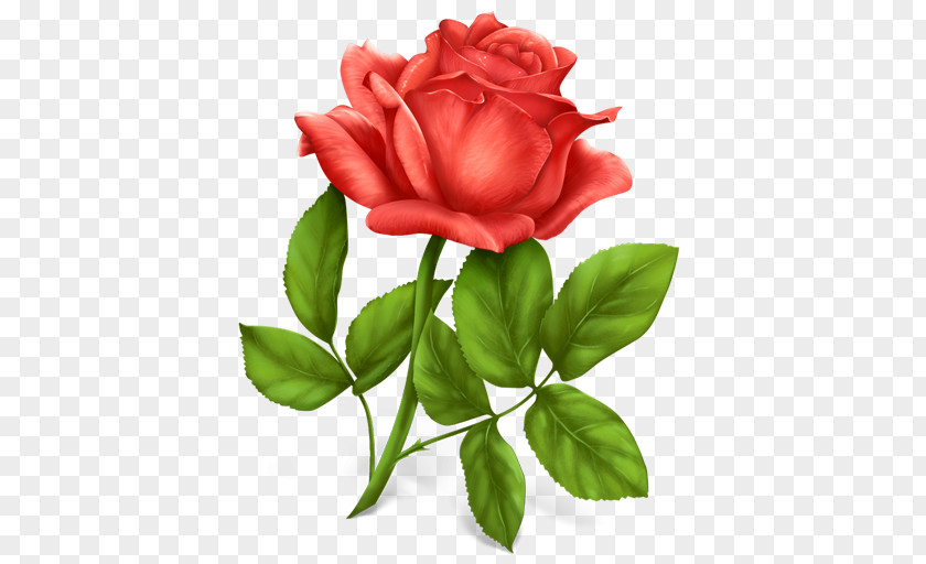 Rose Image Clip Art PNG