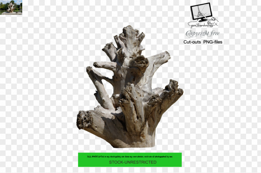 Tree Driftwood Trunk Branch PNG
